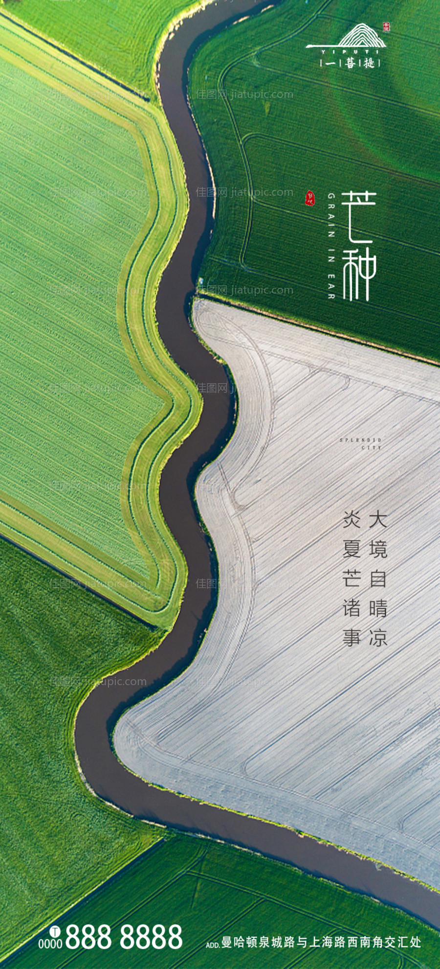 芒种节气移动端海报-源文件