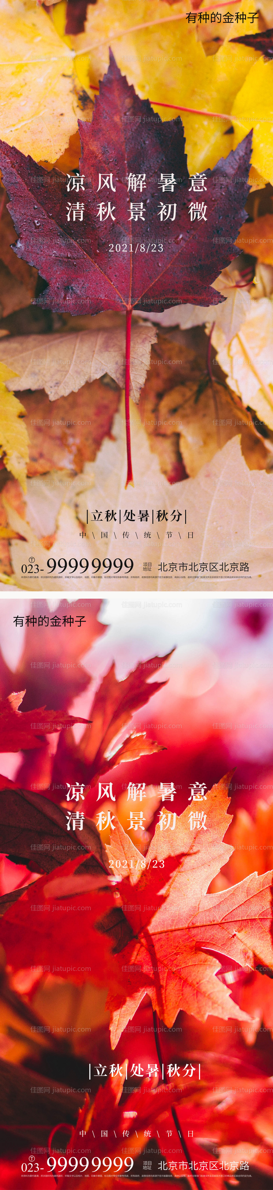 立秋秋分处暑海报-源文件