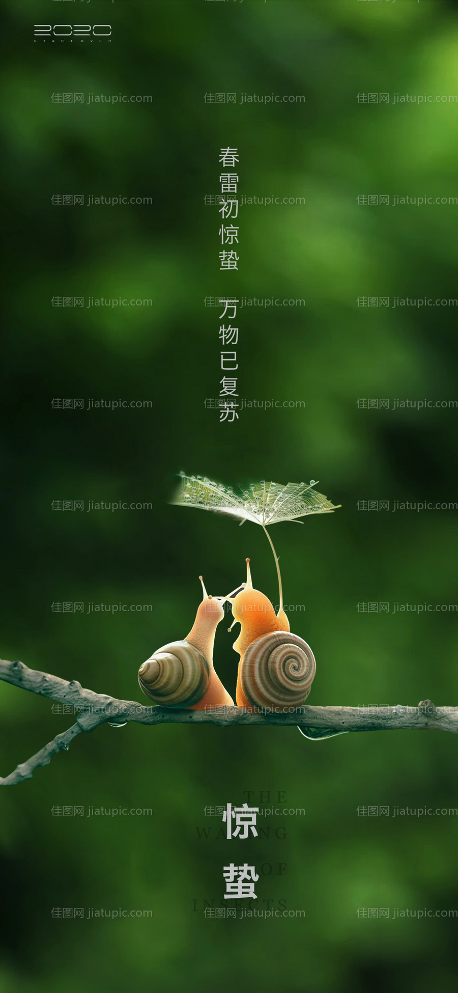 惊蛰节气海报-源文件