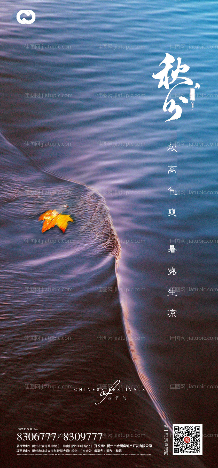 秋分节气海报-源文件