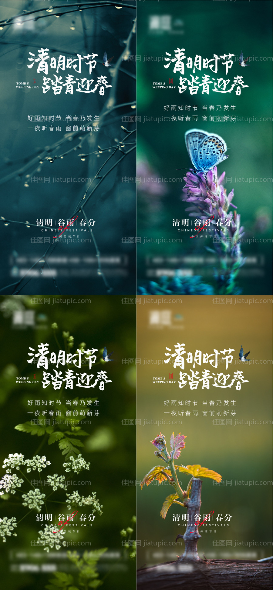 清明谷雨春分节气海报-源文件