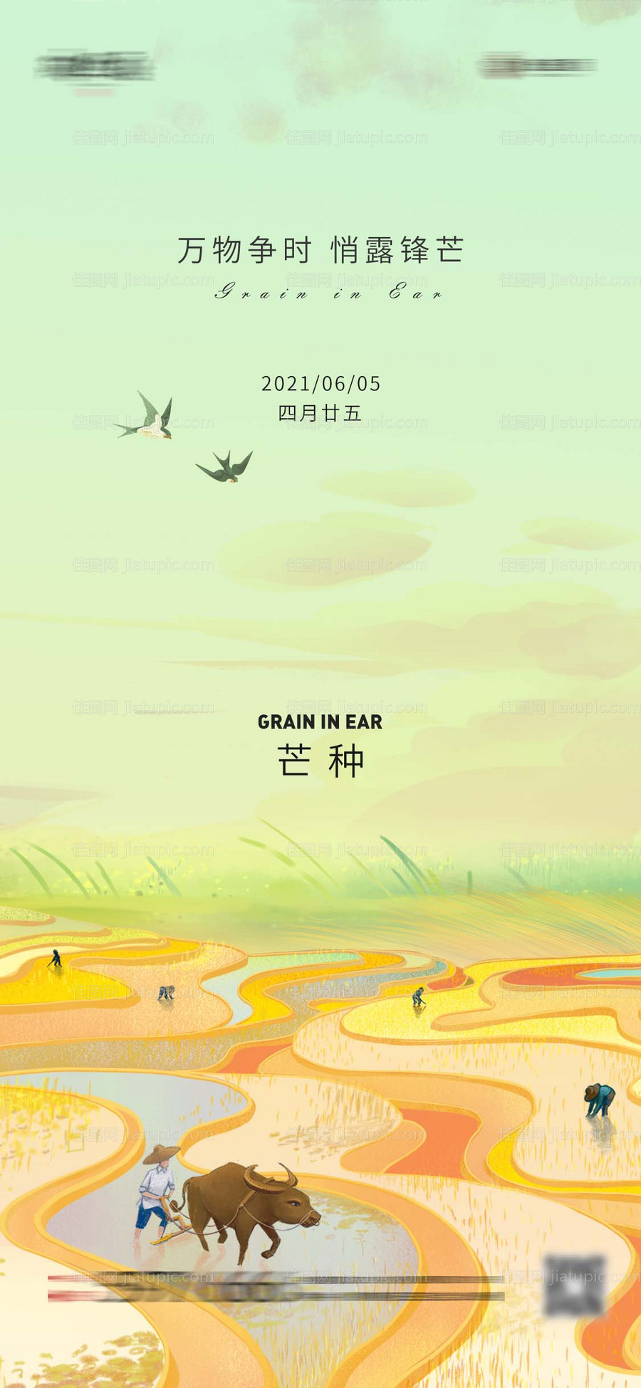 芒种-源文件