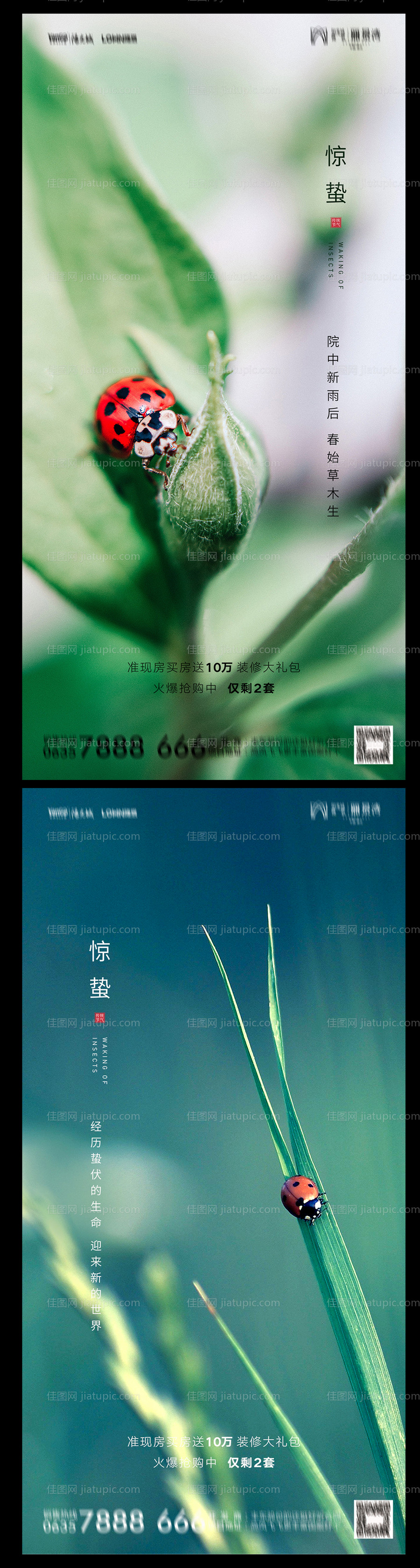 地产惊蛰海报-源文件