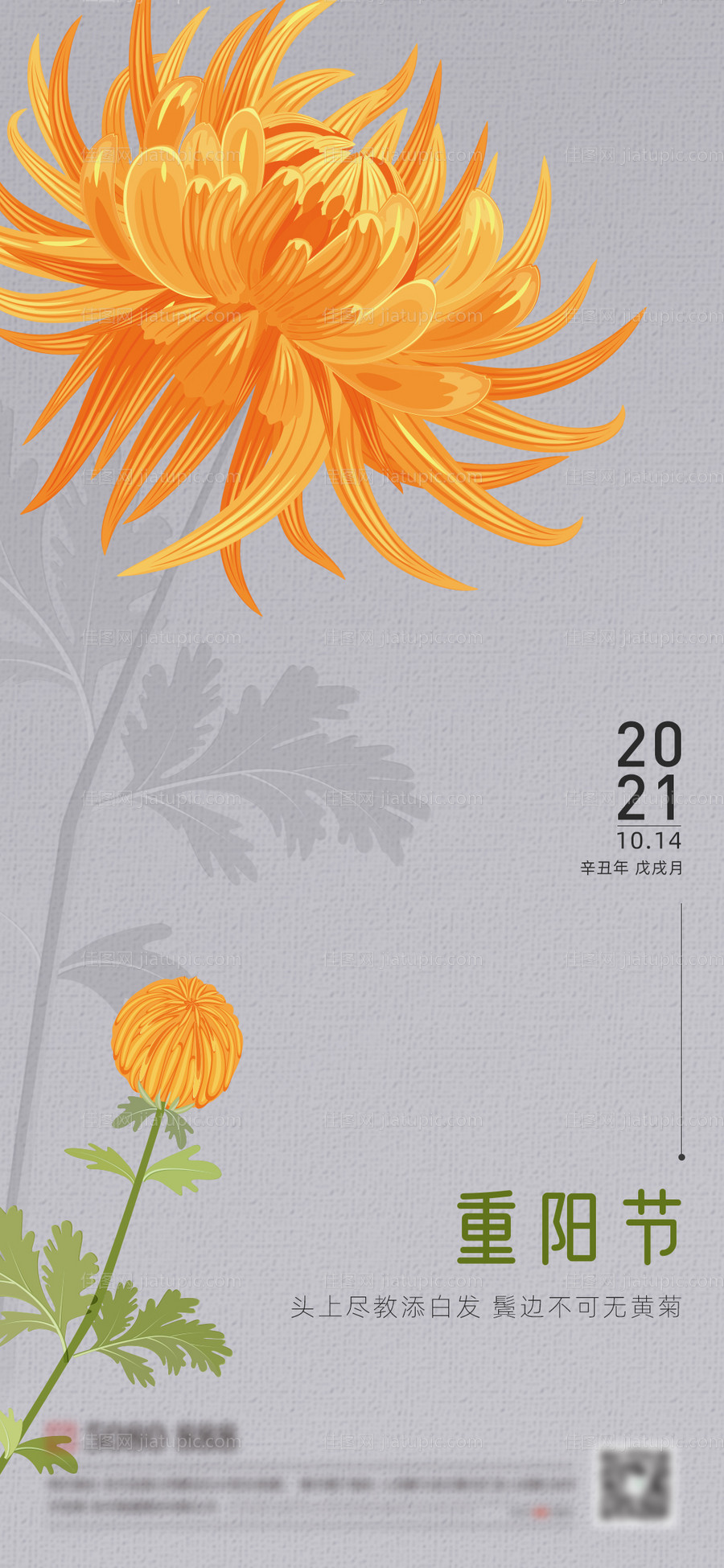 重阳节感恩父母菊花手绘插画创意海报-源文件
