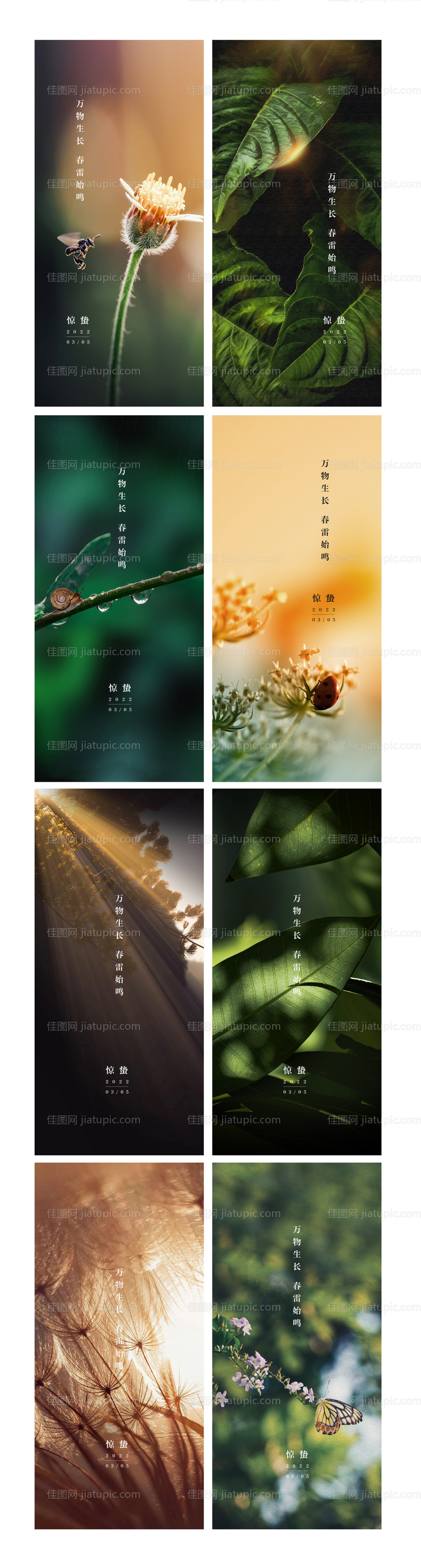 惊蛰节气海报-源文件