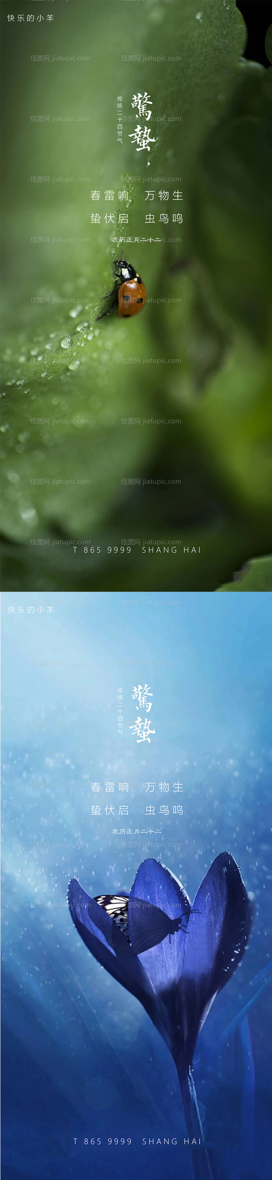 惊蛰节气海报-源文件