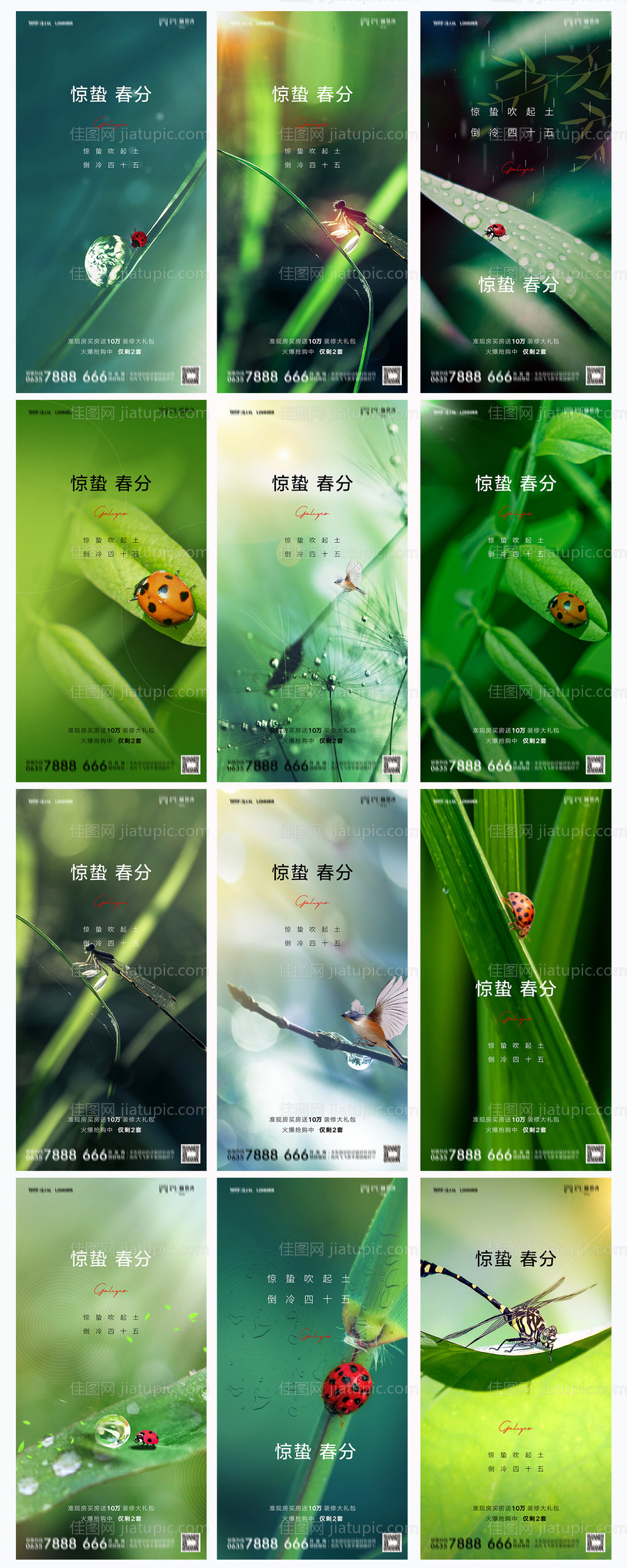 地产惊蛰春分系列海报-源文件