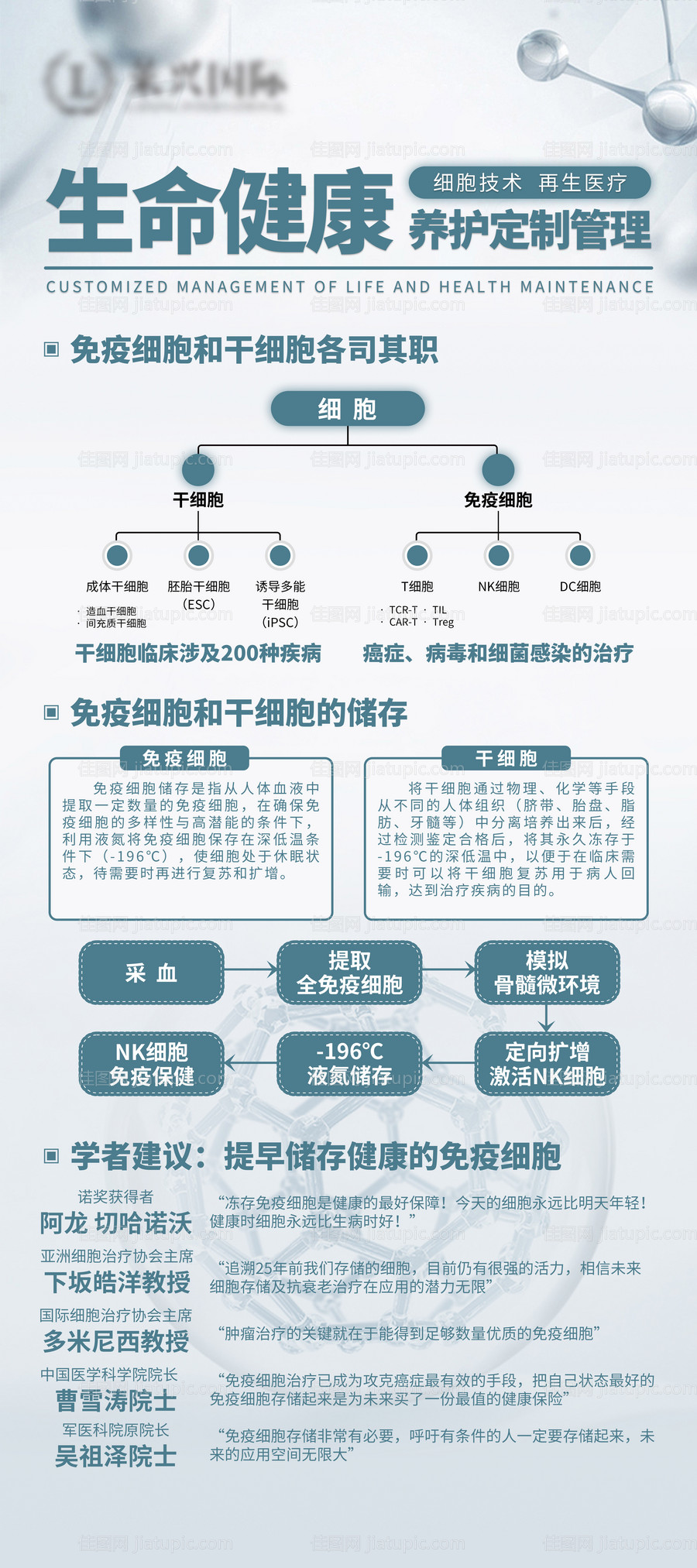 生命健康养护展架易拉宝-源文件