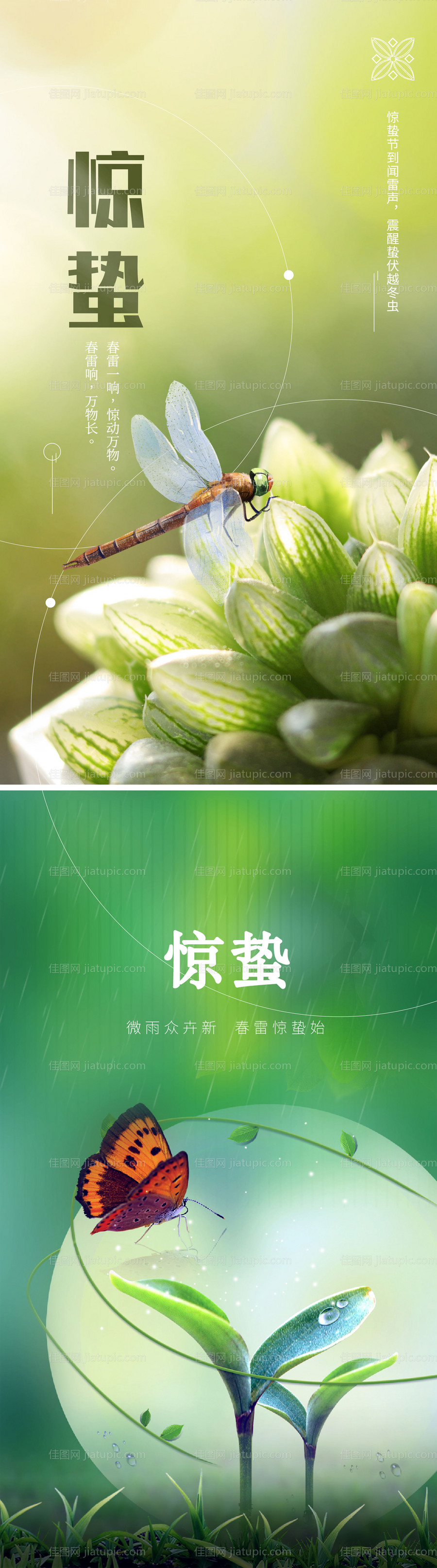 二十四节气惊蛰系列海报-源文件