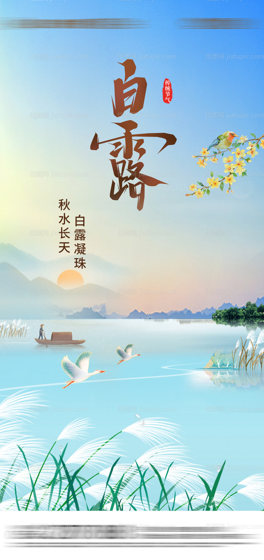 白露节气海报-源文件