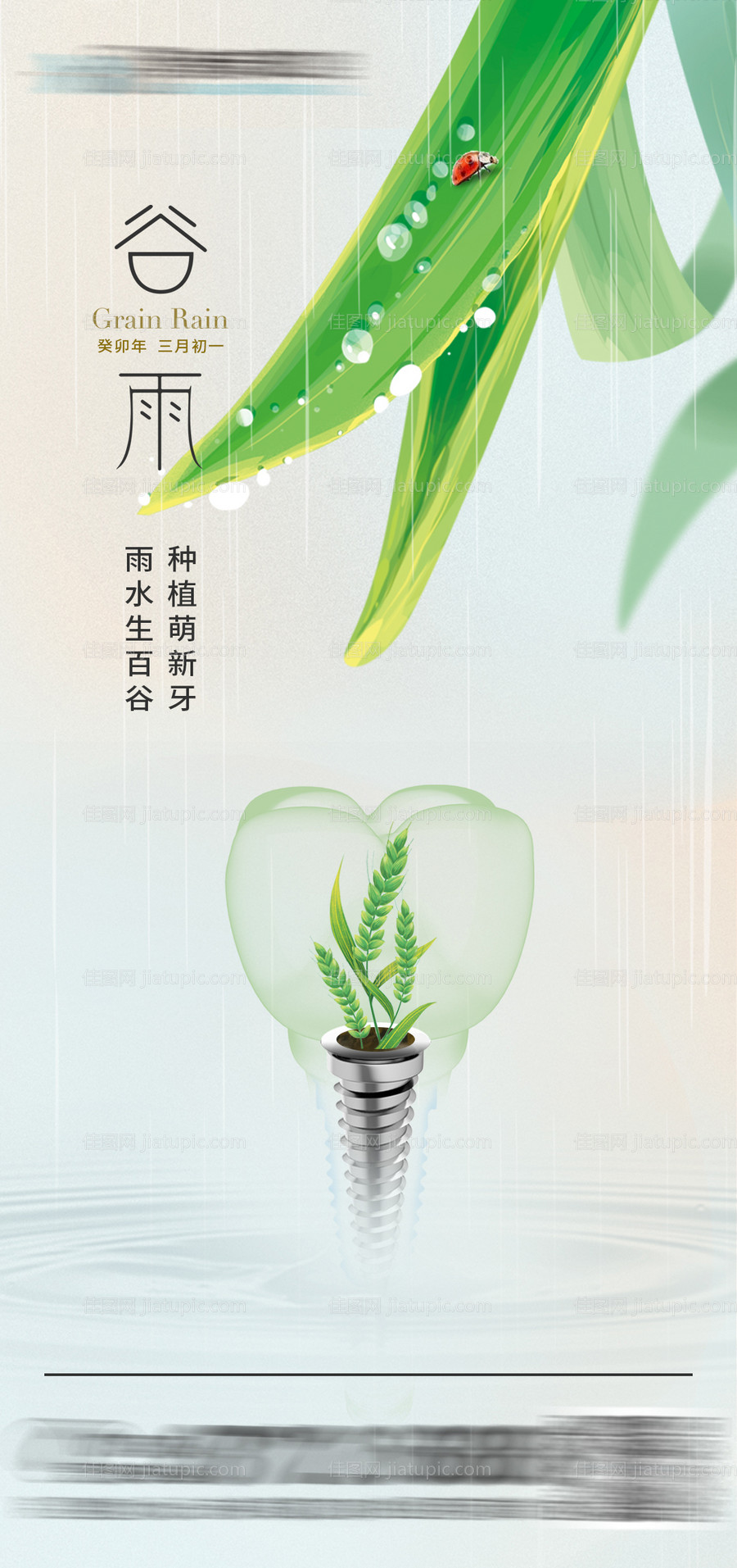 谷雨口腔种植海报-源文件