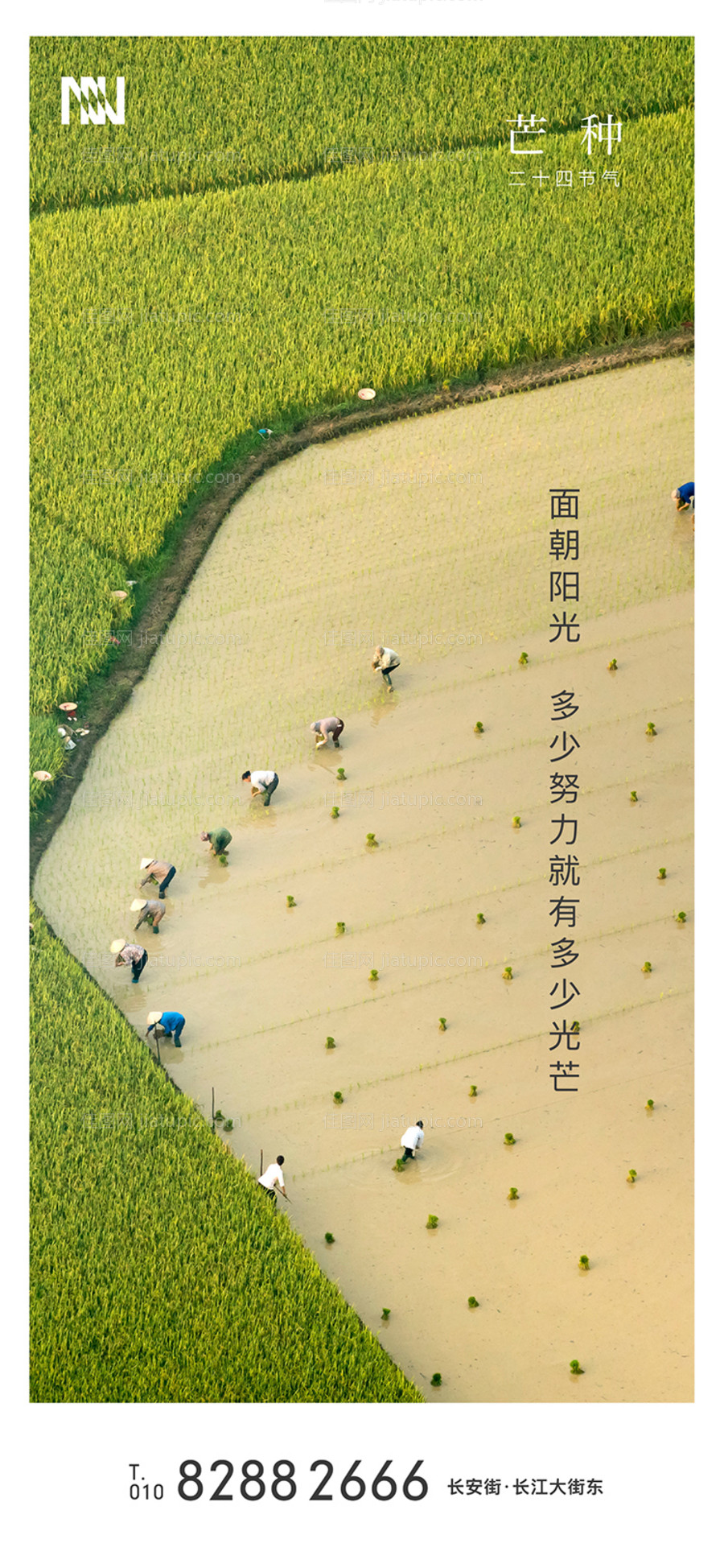芒种海报-源文件
