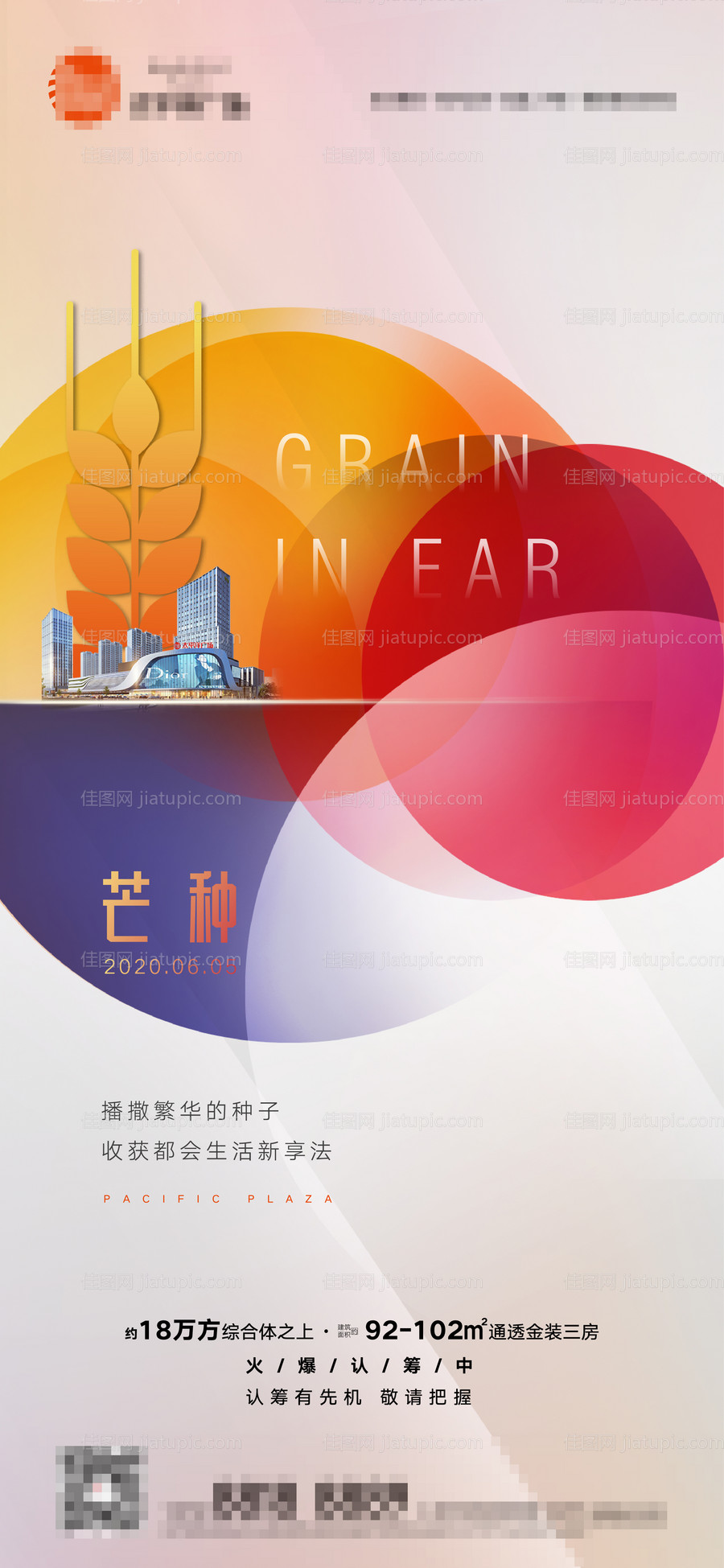 地产芒种节日节气简约时尚海报-源文件
