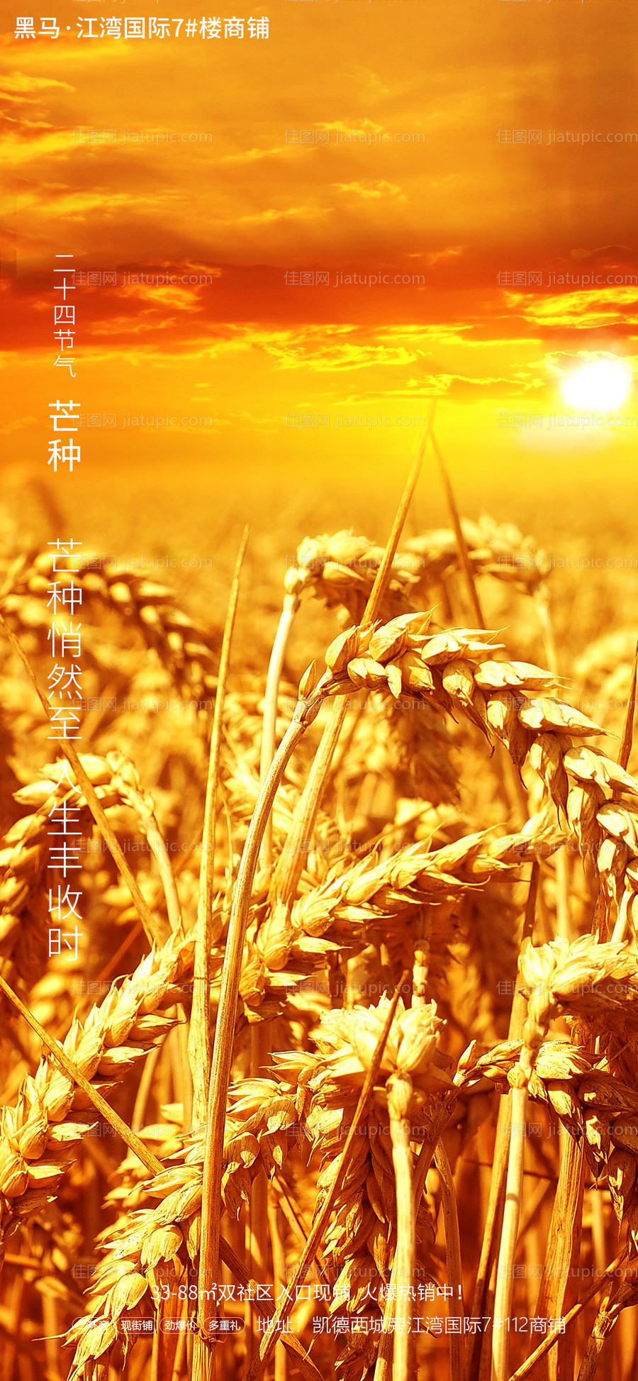 家装节气芒种海报-源文件