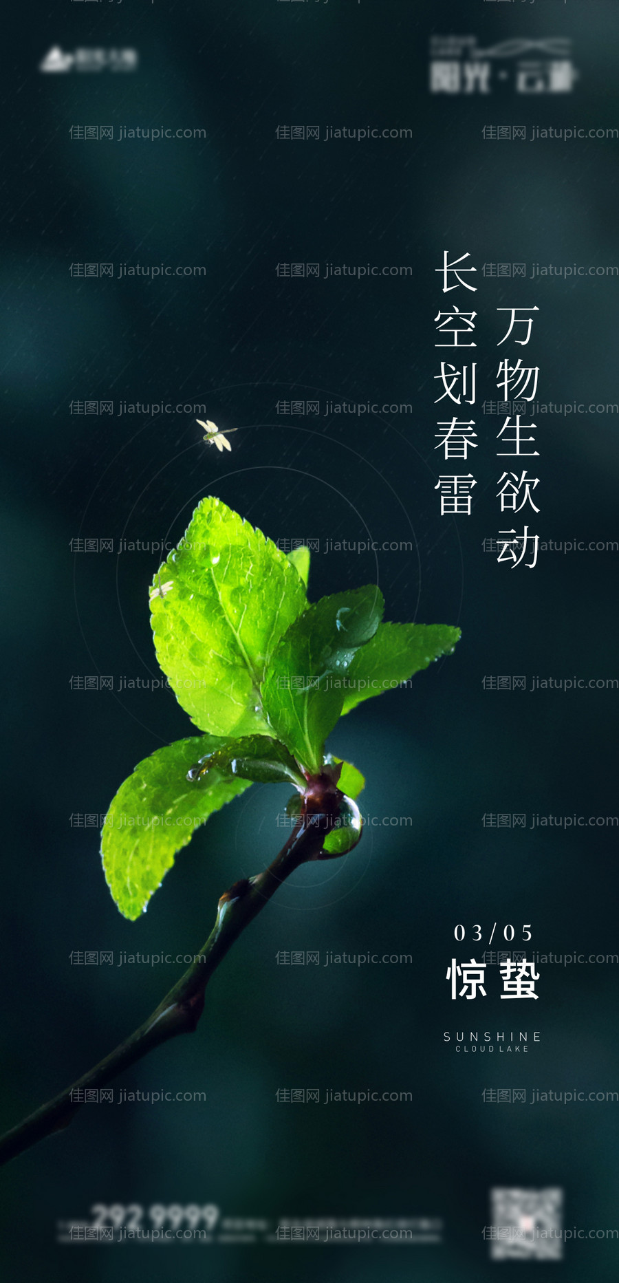 惊蛰节气海报-源文件