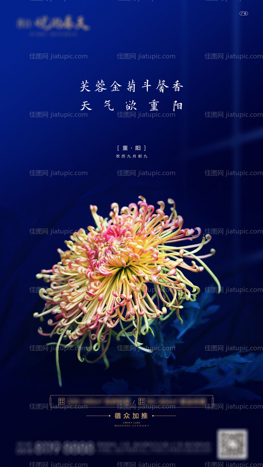 房地产重阳节微信海报-源文件