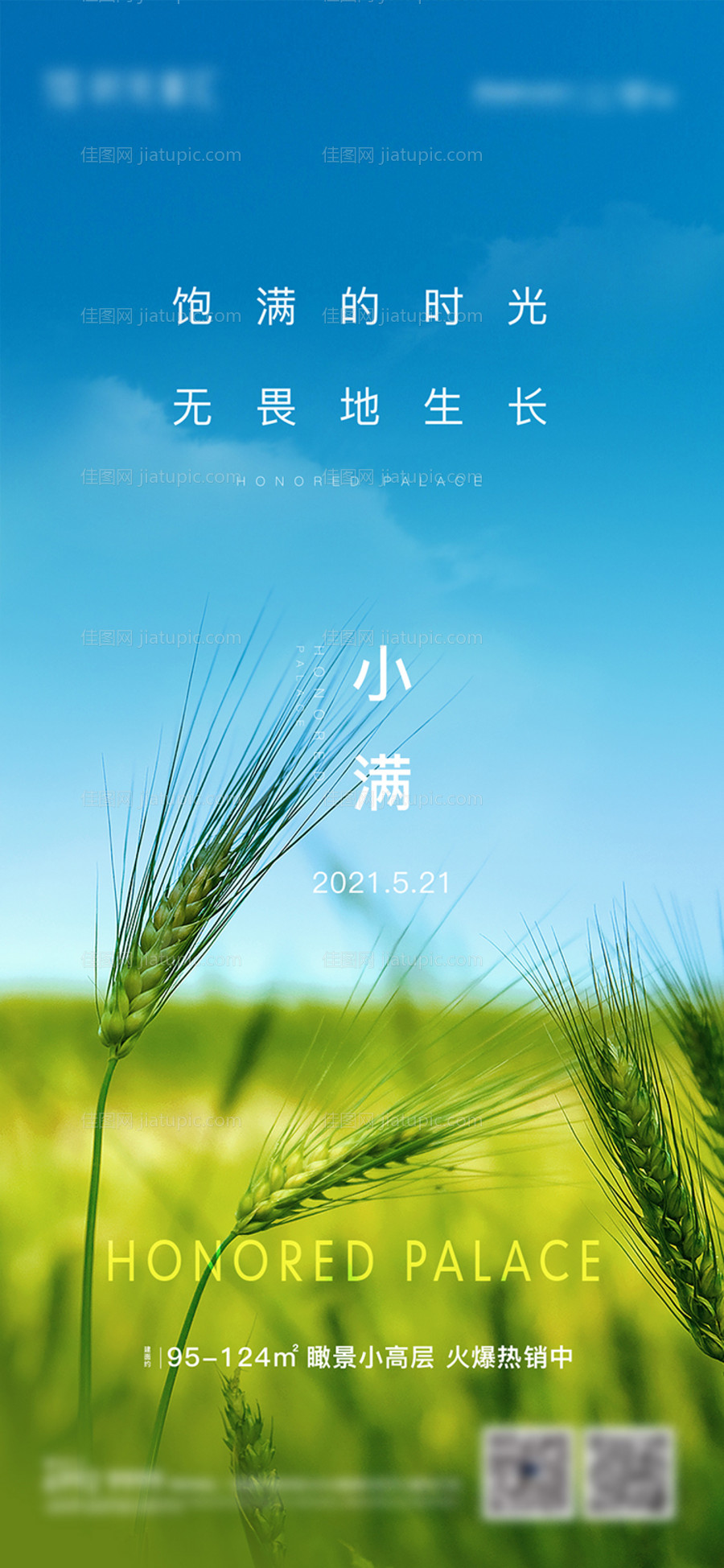 小满节气刷屏海报-源文件