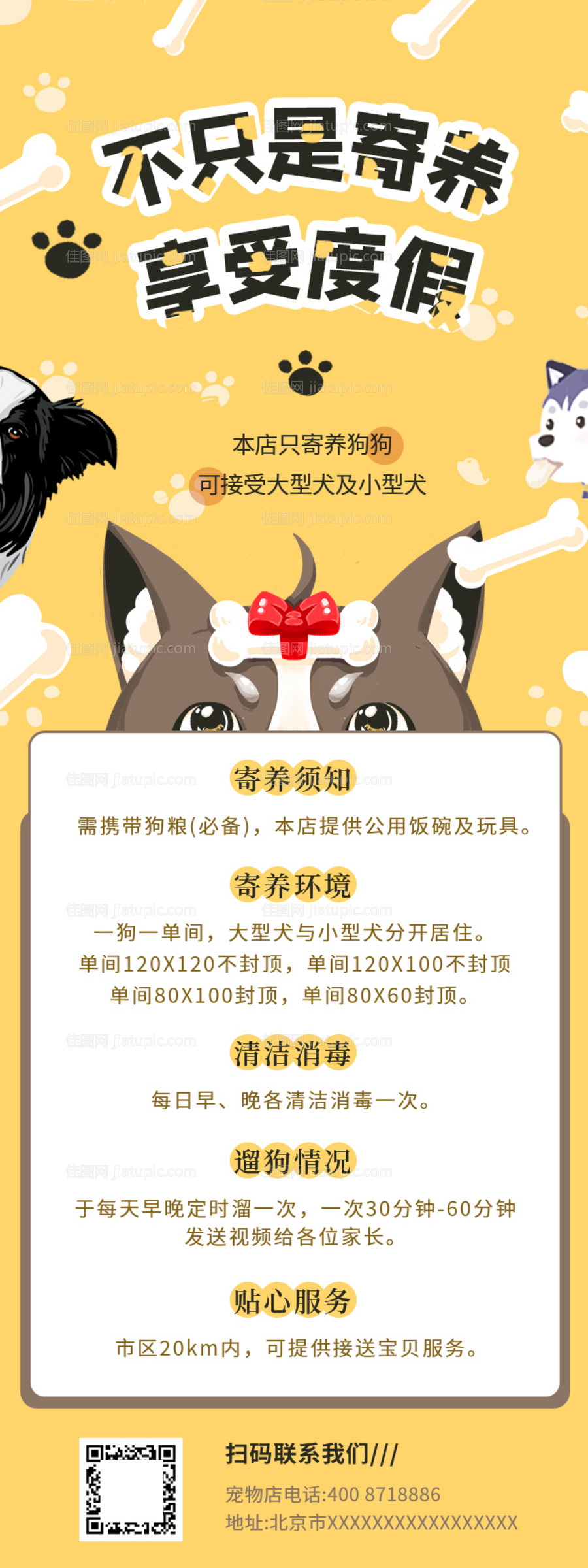 宠物喂养指南长图海报-源文件