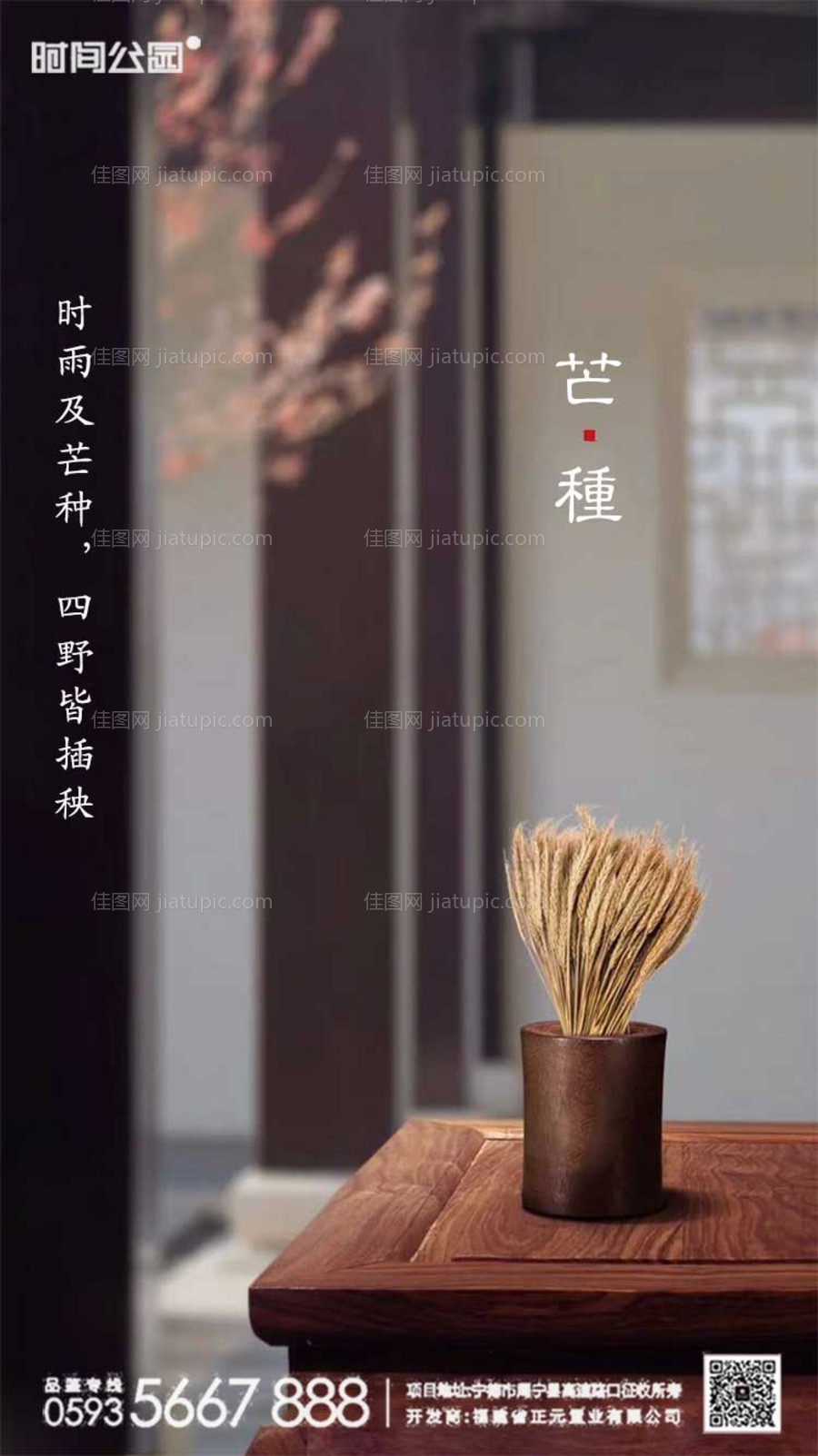 芒种节气移动端海报-源文件