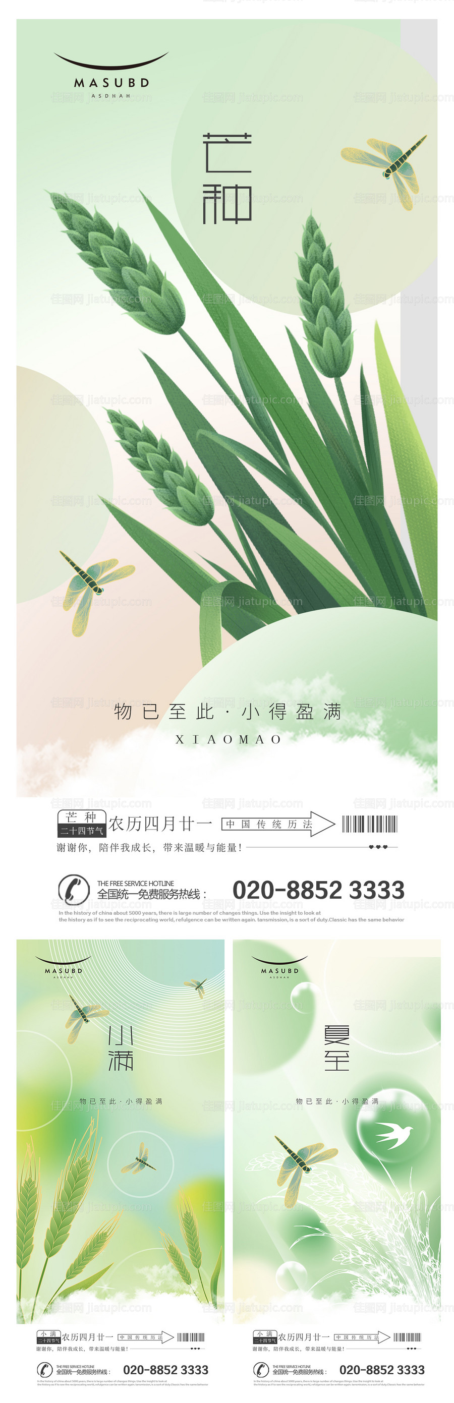 芒种海报-源文件