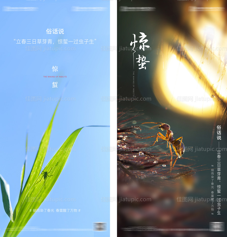 惊蛰节气系列海报-源文件