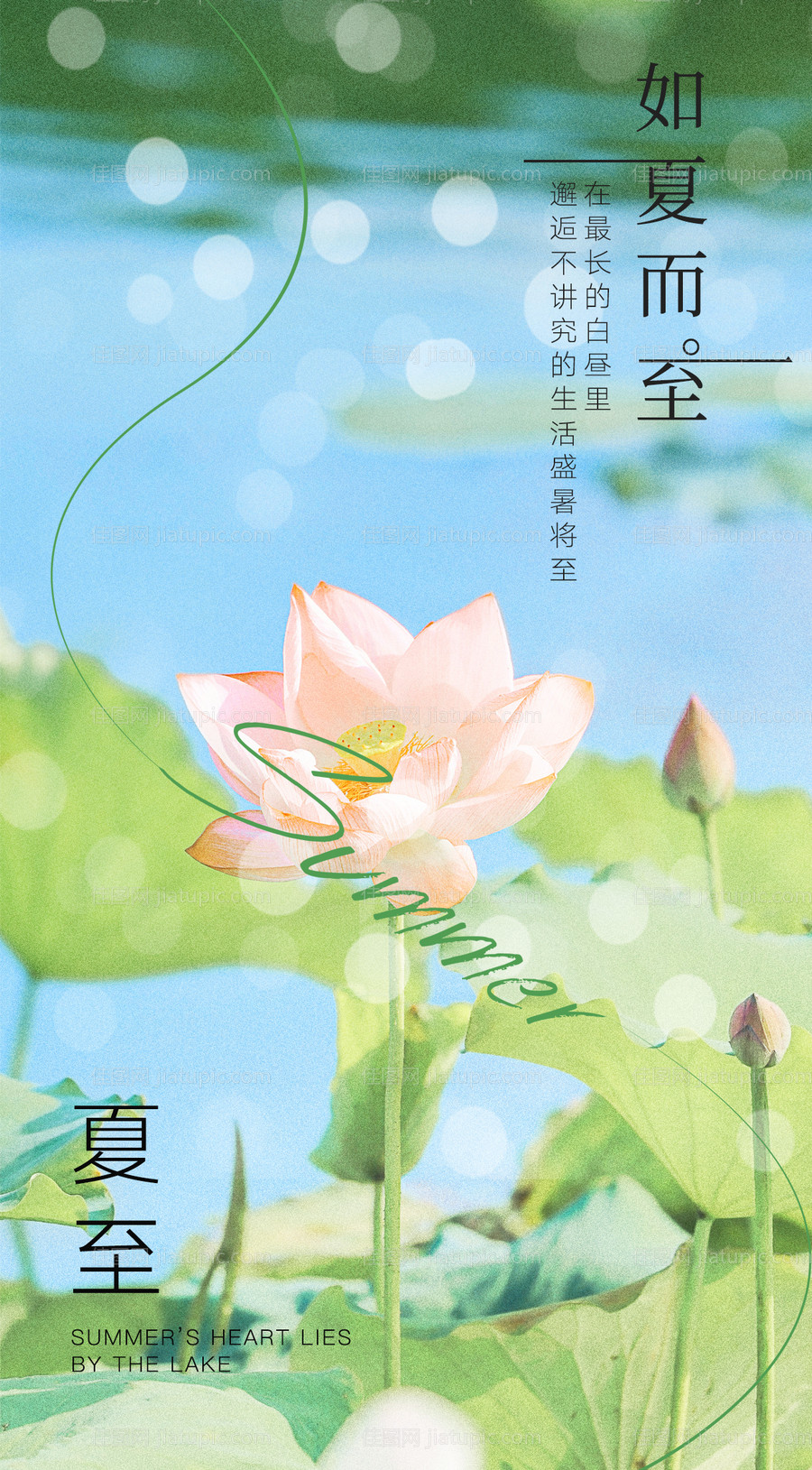 夏至节气海报-源文件