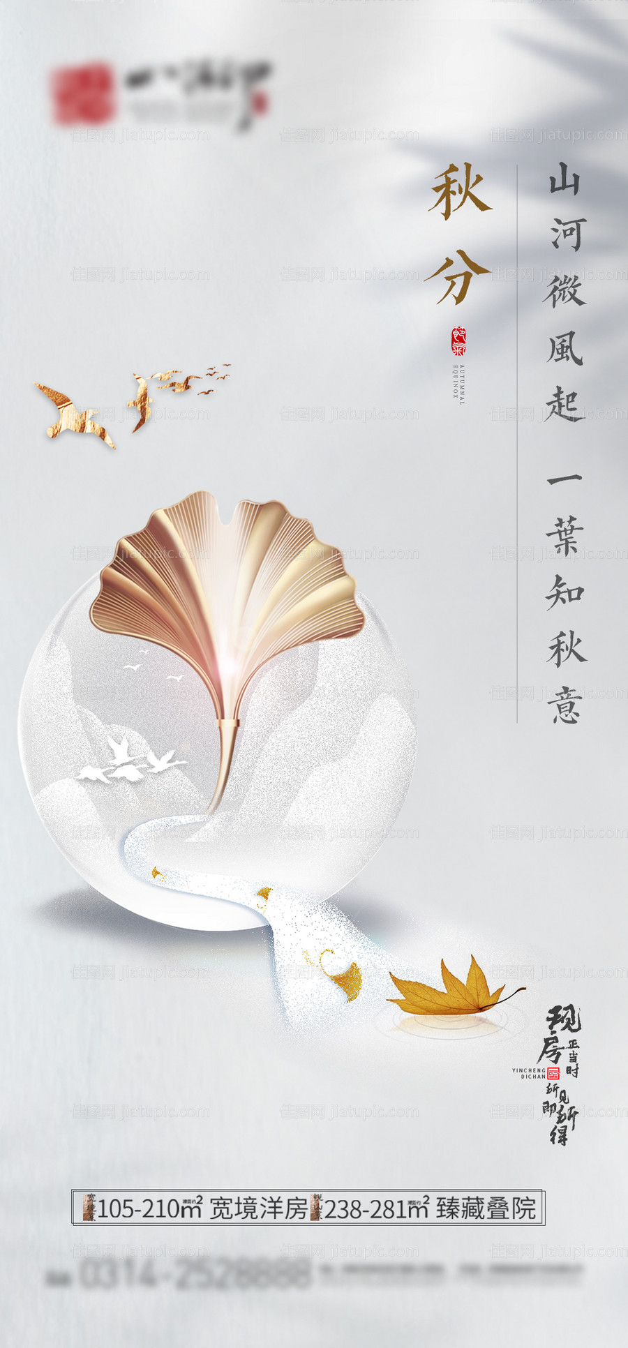 地产秋分银杏叶-源文件