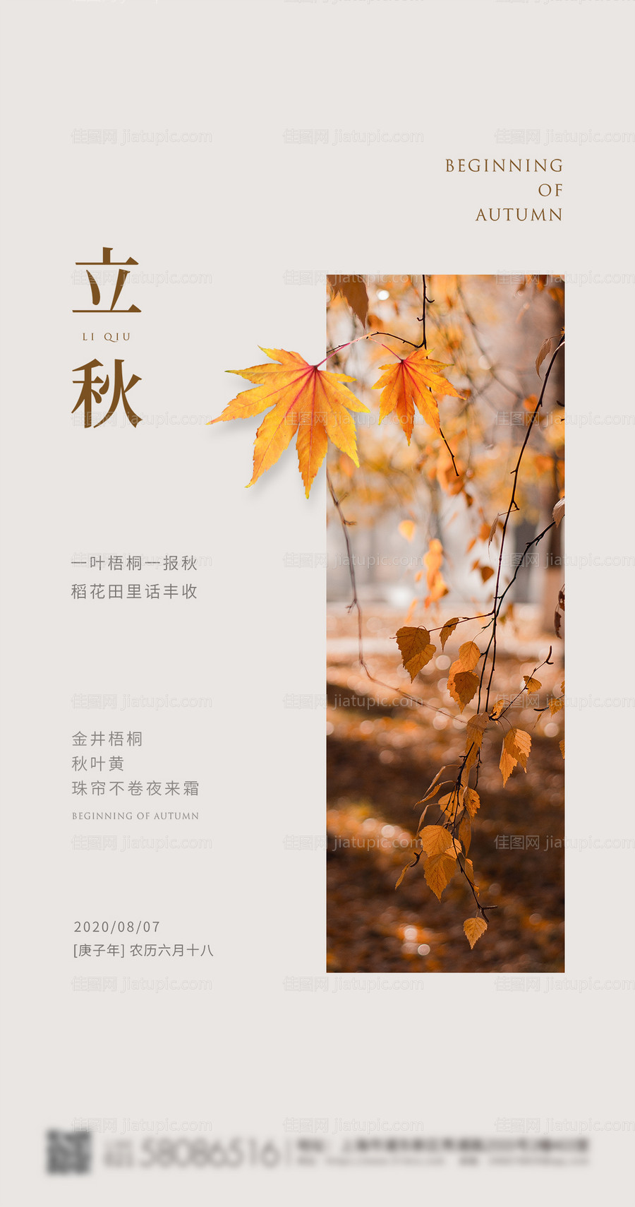 立秋节气海报-源文件