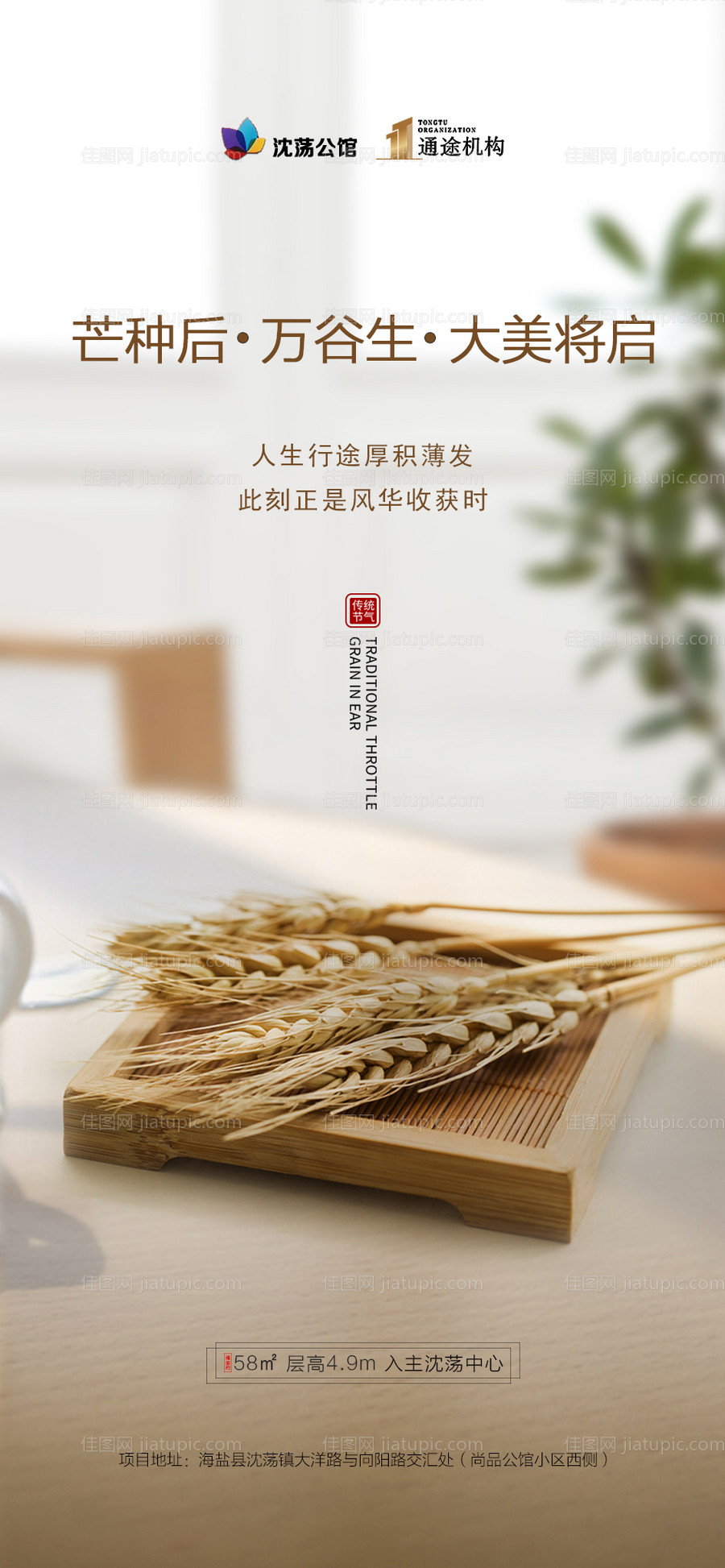 地产芒种节气移动端海报-源文件