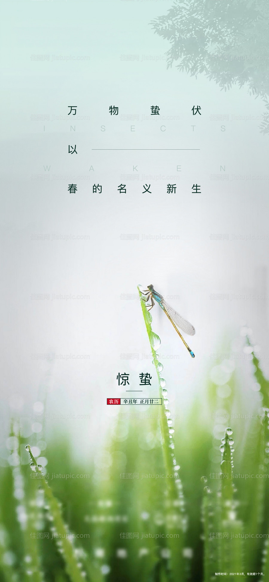 惊蛰-源文件