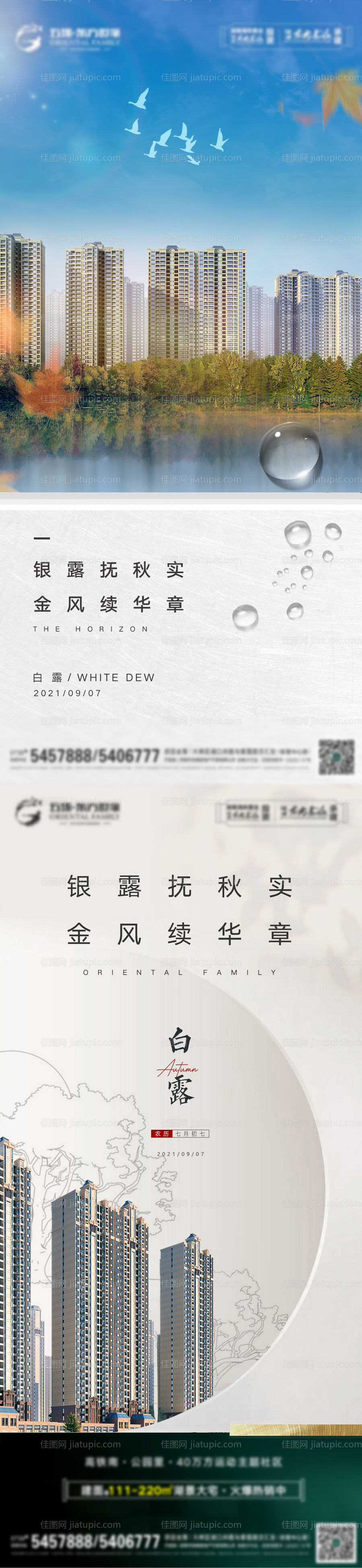 白露节气海报-源文件