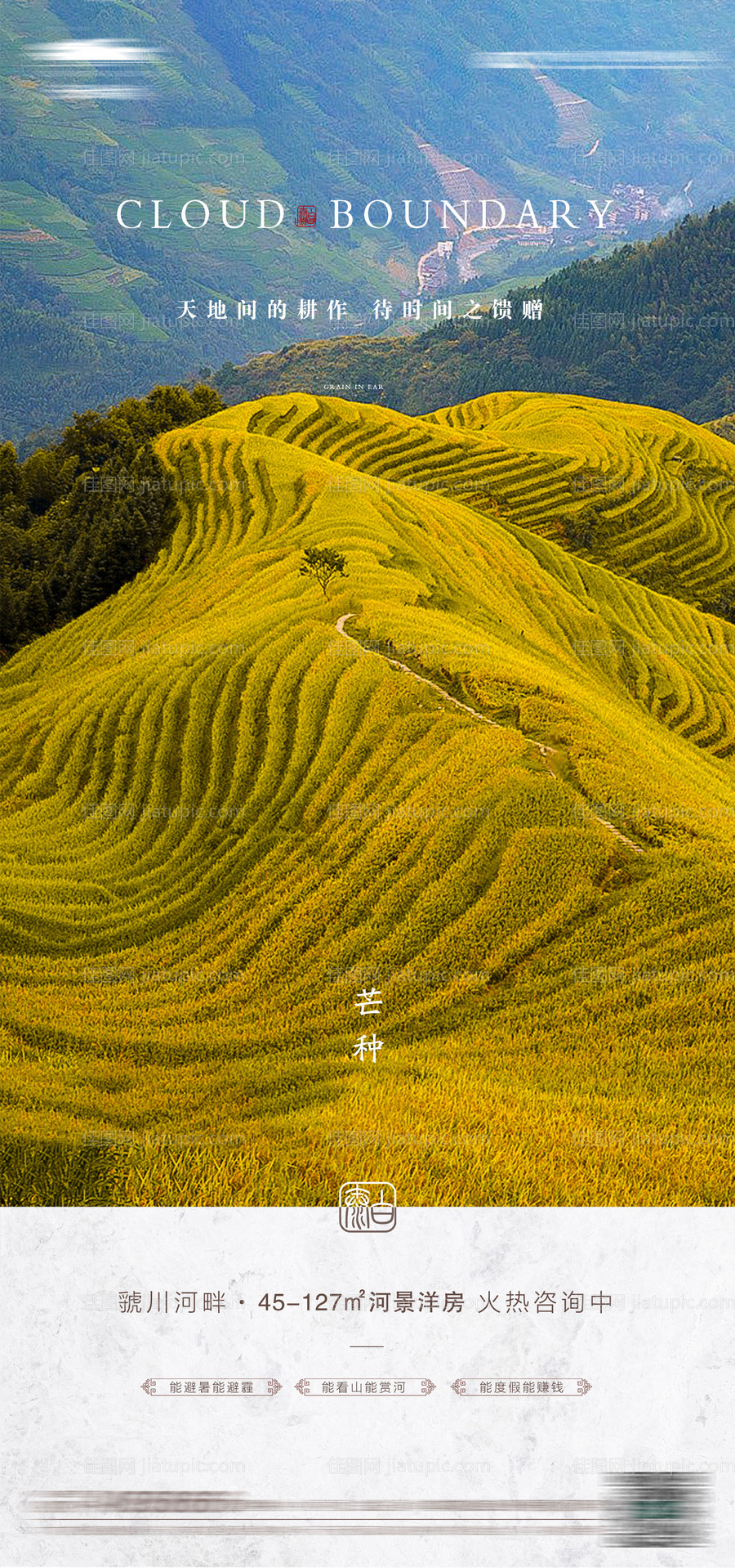 地产芒种节气海报-源文件